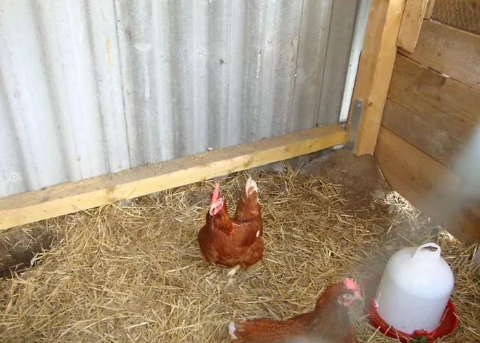 Daire Sterne-anlage Hof Niemeyer Steinhuder *